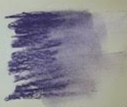 Νο. 365 - ξηρό παστέλ l'ecu Sennelier Cobalt violet